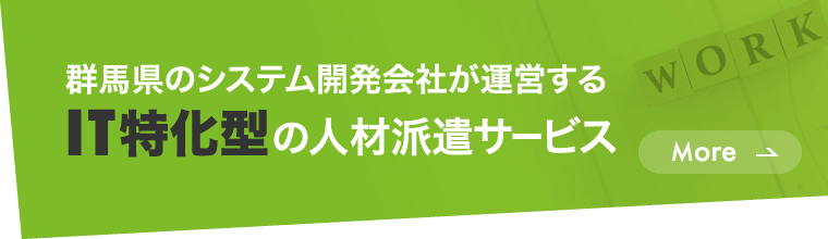 IT特化型の人材派遣サービス